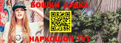 молекула духа Можайск