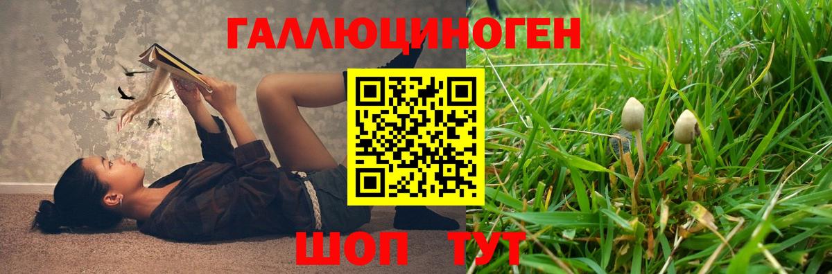 Галлюциногенные грибы мицелий Татарск