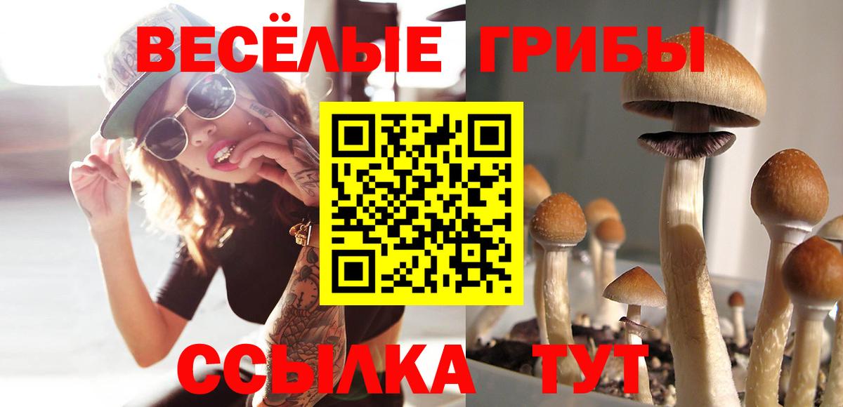 Татарск  Галлюциногенные грибы прущие грибы  Галлюциногенные грибы ЛСД  Вход с VPN 